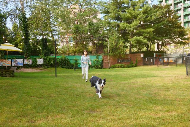 소노펫 비발디파크 플레이그라운드