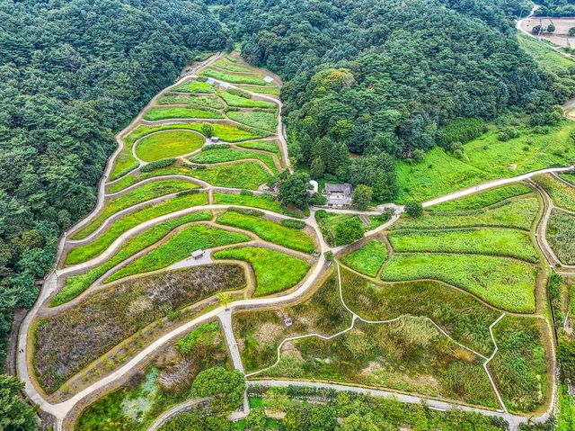 생태체험장이 조성돼 있는 옛 다랑논[사진/임헌정 기자]