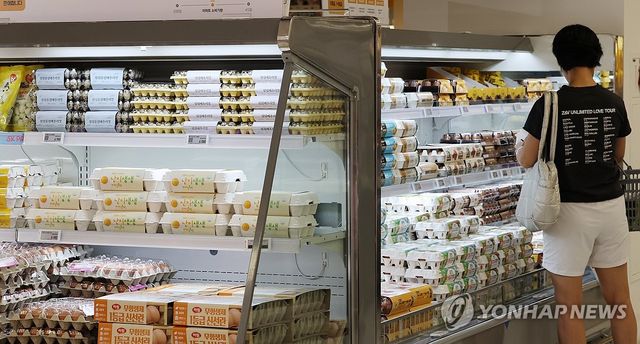 서울 한 대형마트 달걀 매장