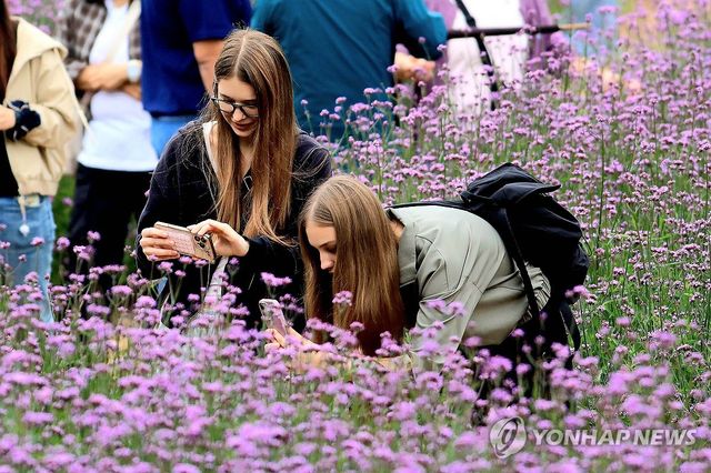 가을꽃에 매료된 외국인들