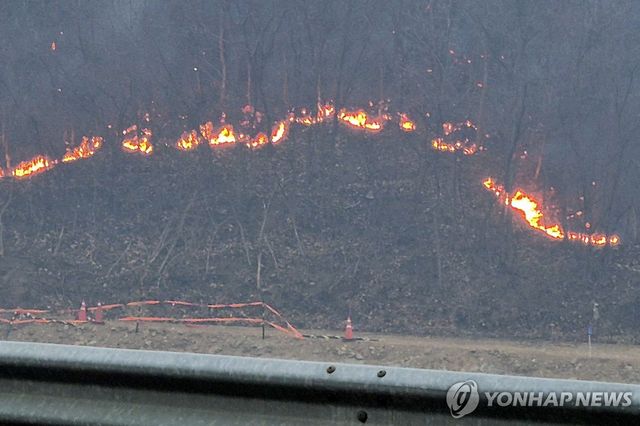 산불