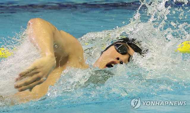 한국신기록 세우는 황선우