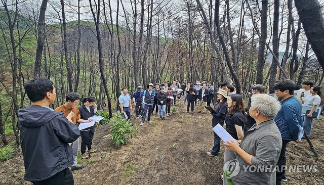 산불 피해 의성 송이산 현장 토론회