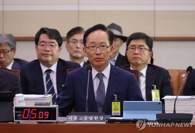 의원 질의에 답하는 김대웅 서울고법원장