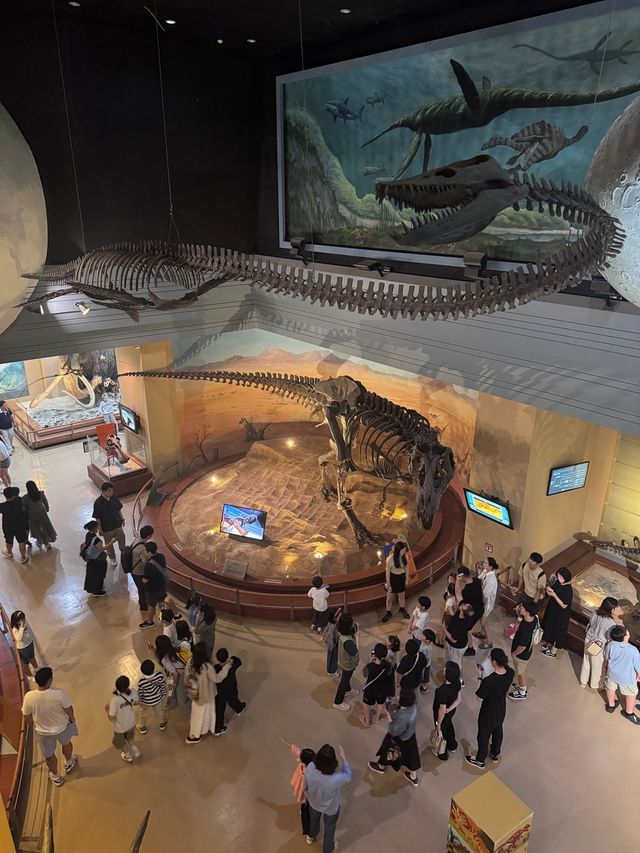 서대문자연사박물관 내부