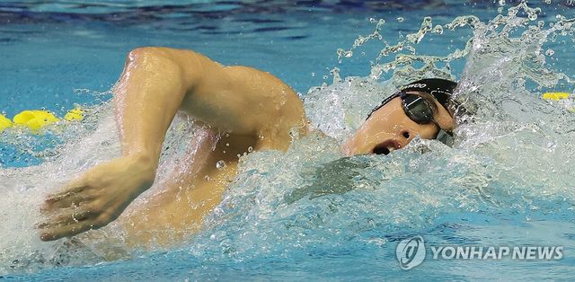 전국체전 역영하는 황선우