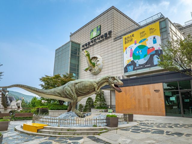 서대문자연사박물관 외경