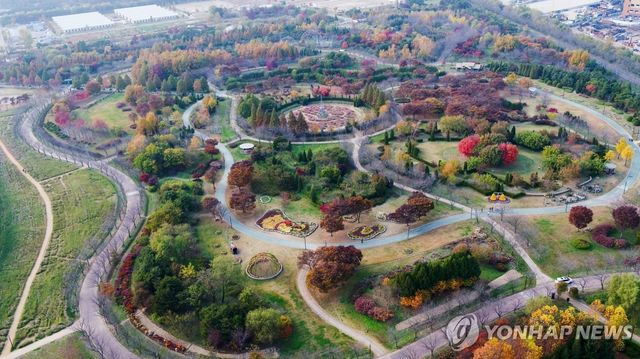 드림파크 야생화단지