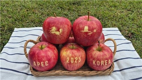 [경북농업기술원 제공. 재판매 및 DB 금지]