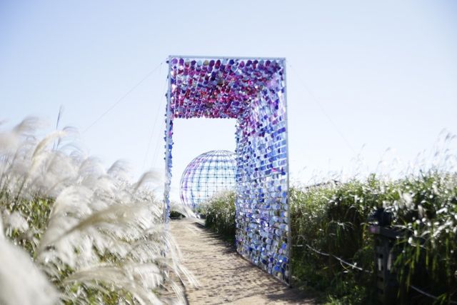 제24회 서울억새축제에 설치된 정지연 작가의 '생명의 숲 빛으로 가는길 Ⅱ'