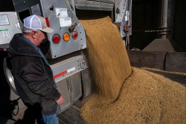 미국 메릴랜드주의 한 곡물 상점