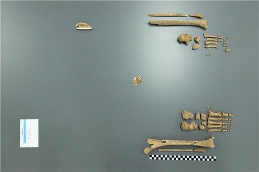 6·25 전사자 김문권 하사 유해