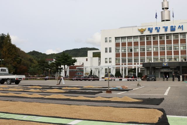 농산물 건조장으로 변신한 경찰서 주차장