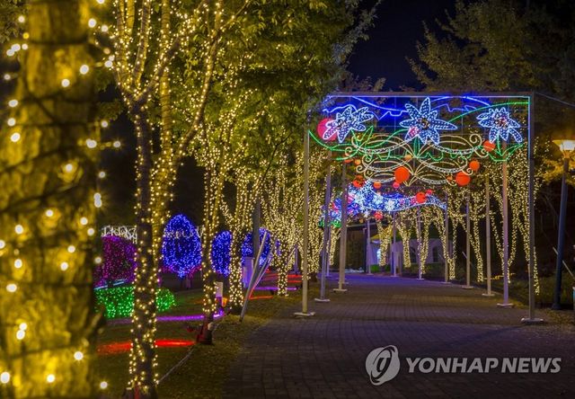 울산대공원 빛 축제