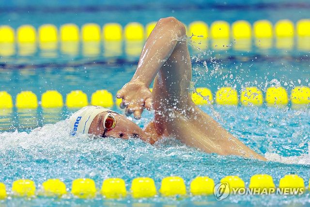 전국체전 계영 800m 출전한 양재훈