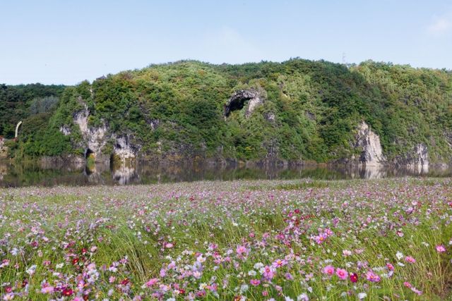 도담삼봉 가을정원