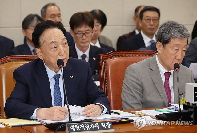 김철수 대한적십자사 회장 답변