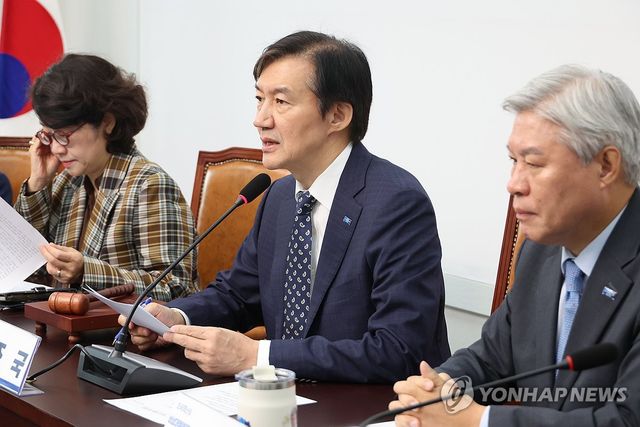 조국혁신당 비상대책위원회의