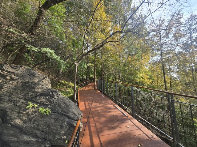 남산 하늘숲길 무장애길