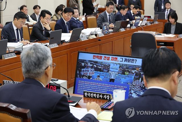 김소희 의원 질의에 답변하는 김동철 사장