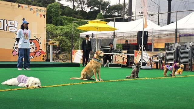 지난해 송파 반려동물 한마당 모습