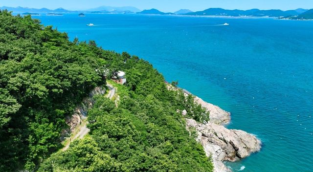 약산 치유의 숲