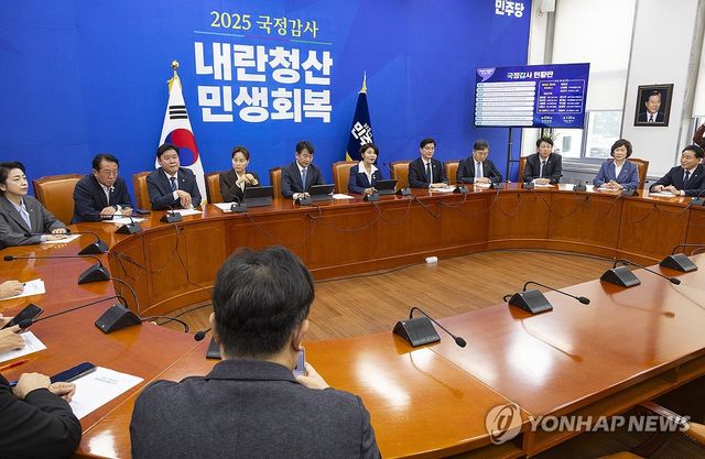 민주당 국정감사 대책 회의에서 발언하는 한정애 정책위의장