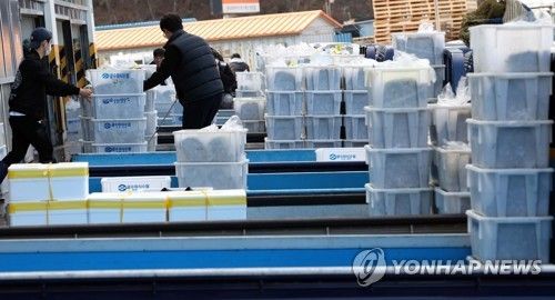 통영 굴 수협 생굴 경매