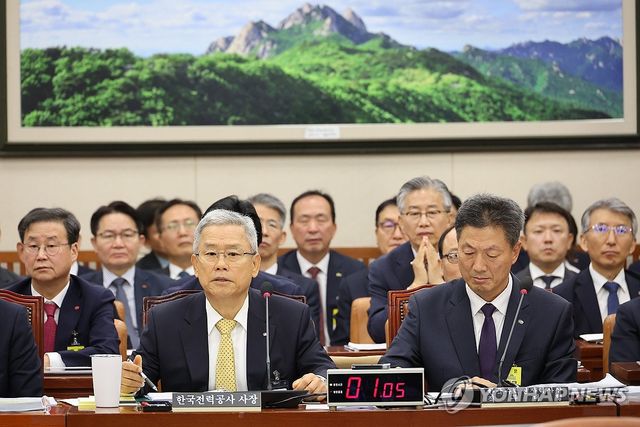 답변하는 김동철 한국전력공사 사장