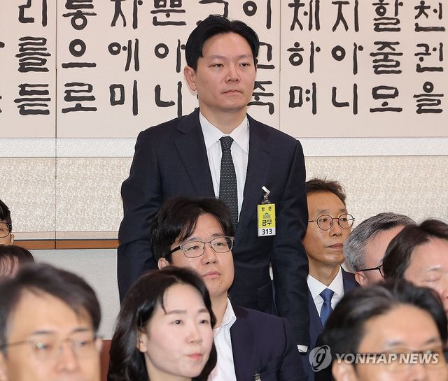 법사위 국정감사 출석한 박상용 법무연수원 교수