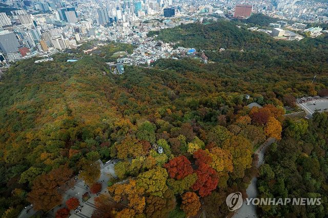 남산에 찾아든 가을