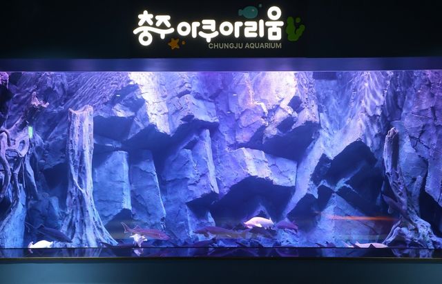 충주아쿠아리움