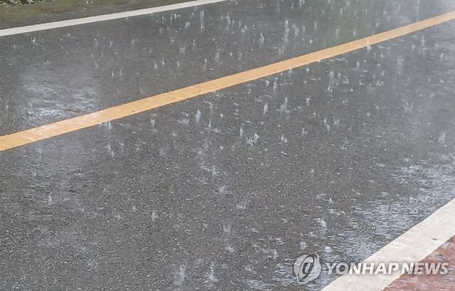 편도 1차선 도로