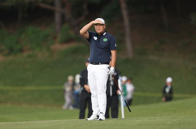 프로골퍼 임성재