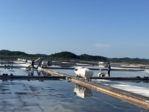 신안 증도 태평염전