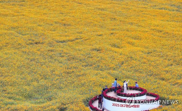 가을 추억 남기기