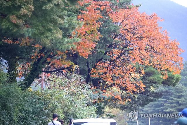 설악산 초입까지 물든 단풍