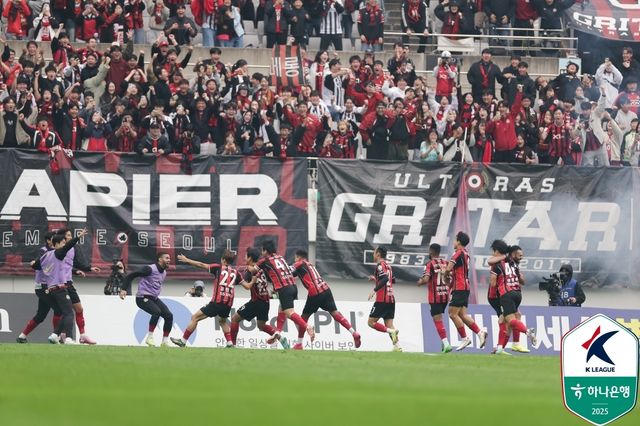 류재문의 역전 결승골에 환호하는 FC서울 선수들