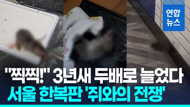 [영상] 지하철역에도 아파트에도 '찍찍!'…서울 한복판 '쥐와의 전쟁' - 2