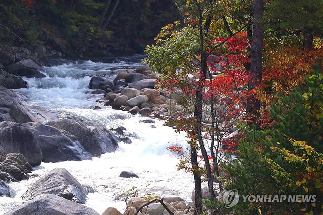 가을 정취 물씬