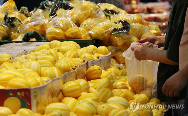 국산 참외 수출 검역요건 완화…호주시장 진출 탄력 - 1