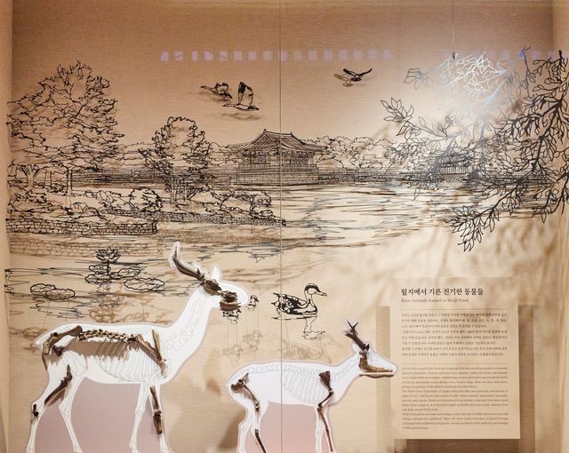 동물 뼈 전시 모습