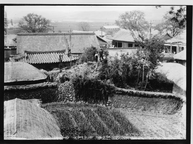 경주 금령총 발굴 전 모습