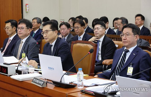 답변하는 안종혁 한국수출입은행 행장 직무대행