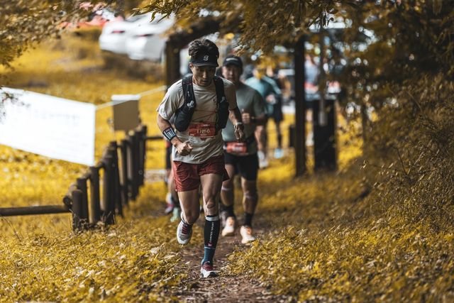 내장산 일대 달리는 건각들