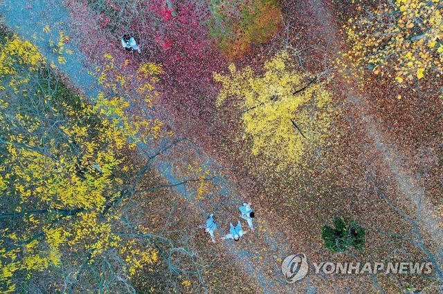 '가을빛 수채화'