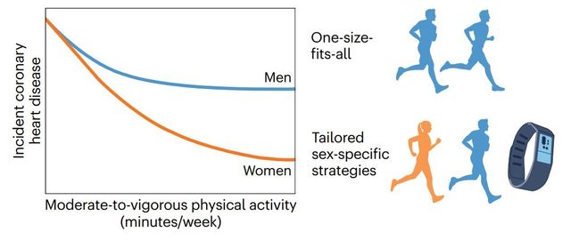 중등도 이상 신체활동과 관상동맥심장질환 발생 간 성별 차이