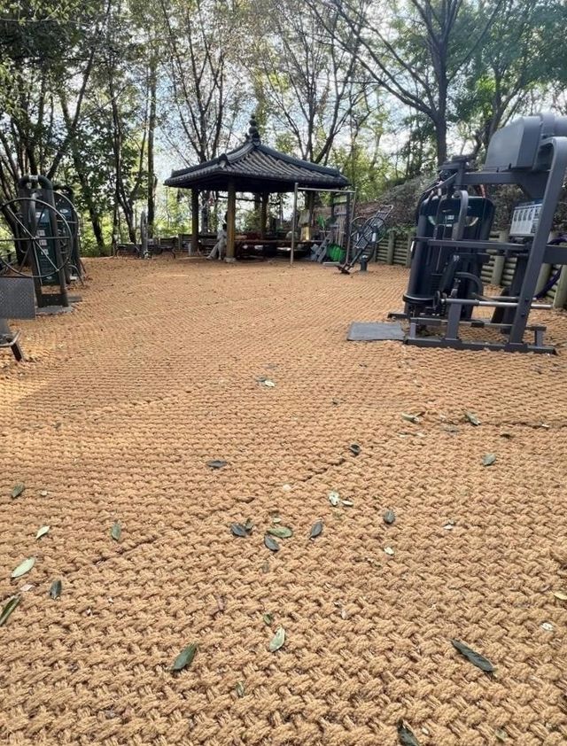 궁동산 등산로 정비