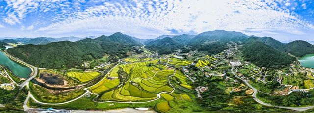 유명 농촌 관광지 '함안 다랑논'