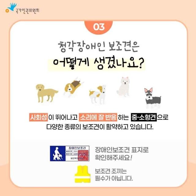 청각장애인 돕는 작은 개, 보조견입니다…식당 출입 막으면 불법 - 1